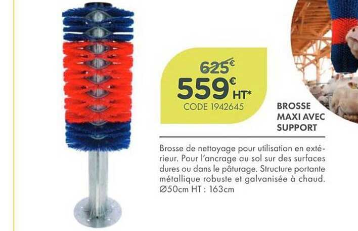 BROSSE MAXI AVEC SUPPORT