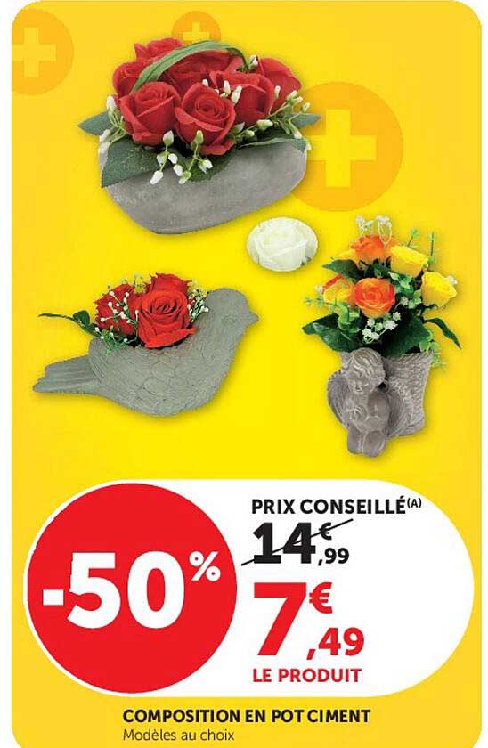 COMPOSITION EN POT CIMENT