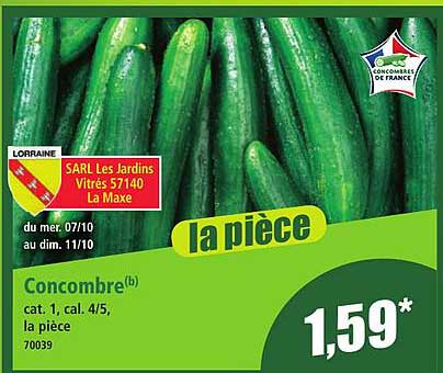 Concombre (b) cat. 1, cal. 4/5, la pièce