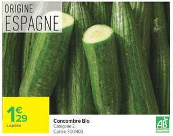 Concombre Bio
