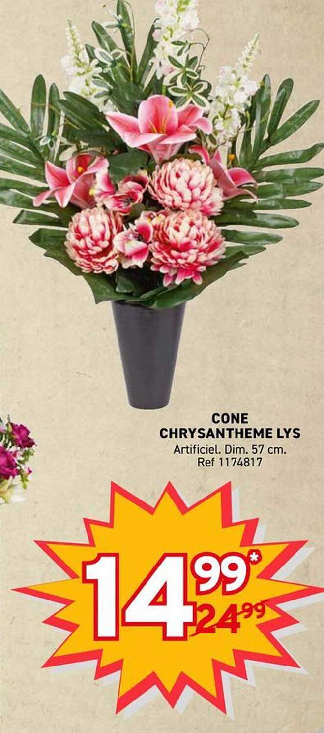 CONE CHRYSANTHEME LYS