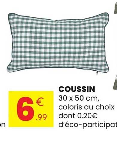 COUSSIN 30 x 50 cm, coloris au choix dont 0.20€ d’éco-participat