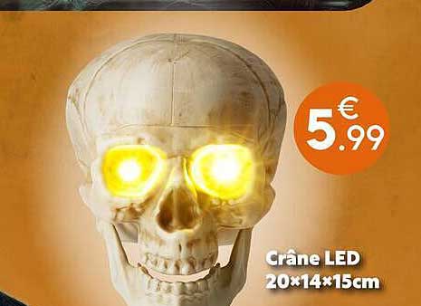 Crâne LED 20×14×15cm