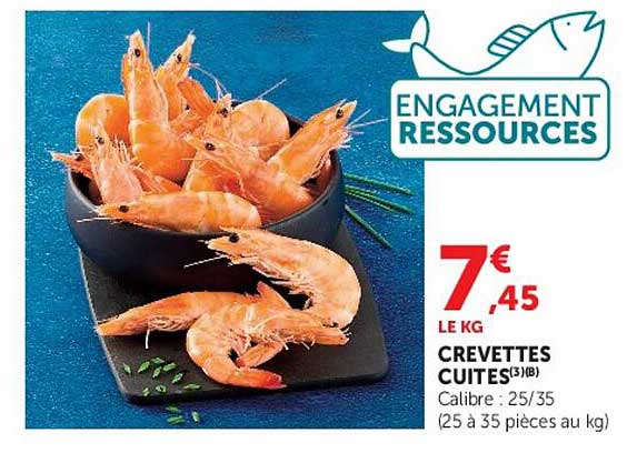 ENGAGEMENT RESSOURCES
