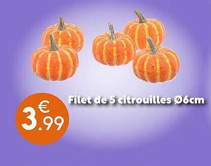 Filet de 5 citrouilles Ø6cm