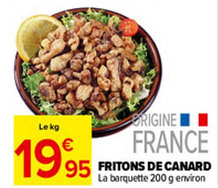 FRITONS DE CANARD