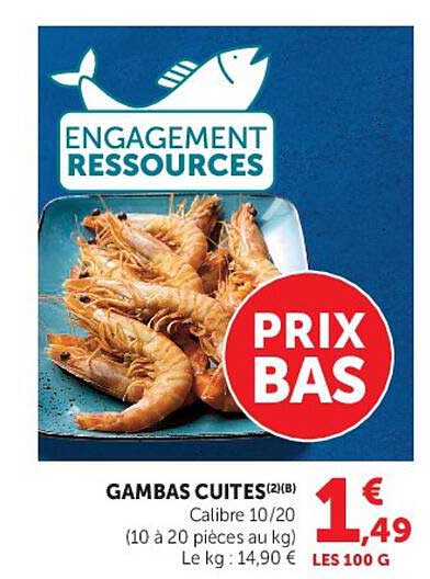 GAMBAS CUITES(2)(B)