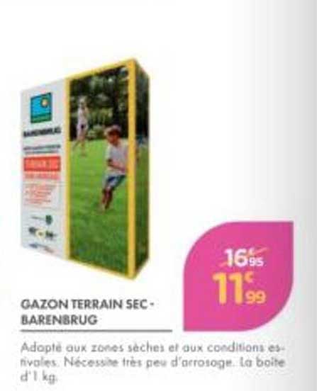 GAZON TERRAIN SEC - BARENBRUG