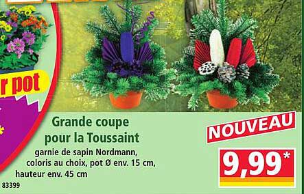 Grande coupe pour la Toussaint