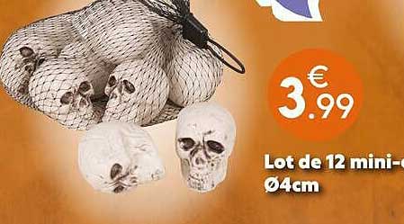 Lot de 12 mini- crânes Ø4cm