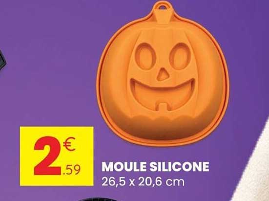 MOULE SILICONE 26,5 x 20,6 cm