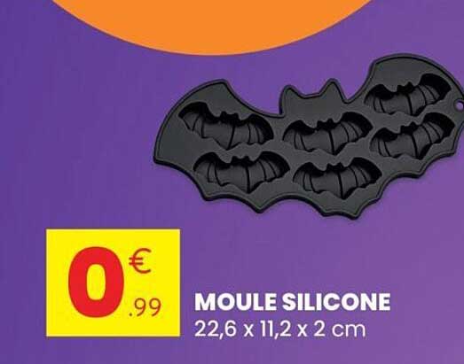MOULE SILICONE