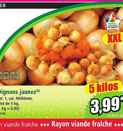Oignons jaunes