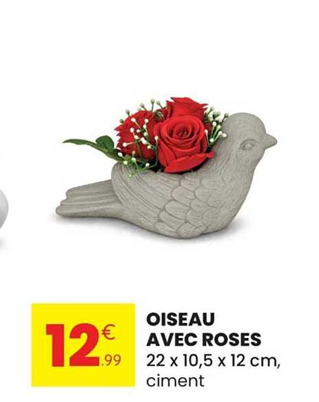 OISEAU AVEC ROSES