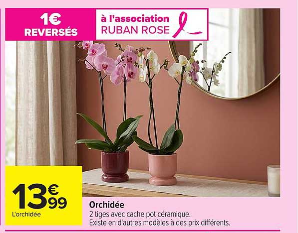 Orchidée