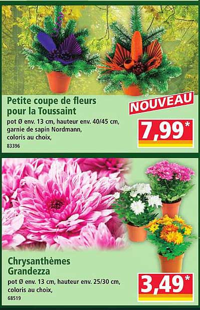 Petite coupe de fleurs pour la Toussaint