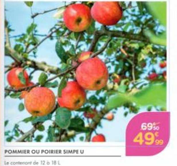 POMMIER OU POIRIER SIMPLE U