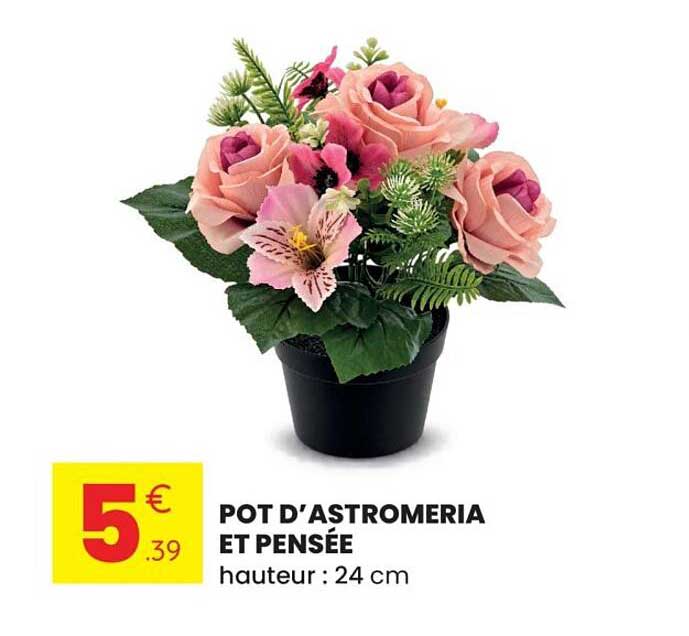 POT D’ASTROMERIA ET PENSÉE hauteur : 24 cm
