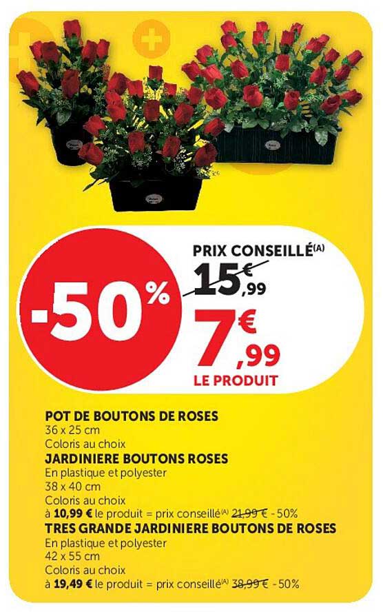 POT DE BOUTONS DE ROSES