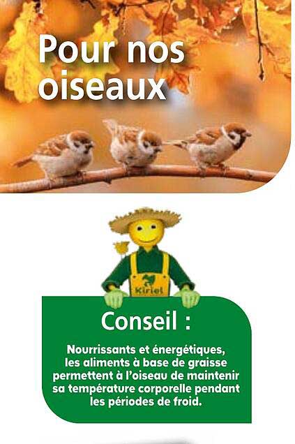 Pour nos oiseaux