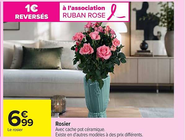 Rosier