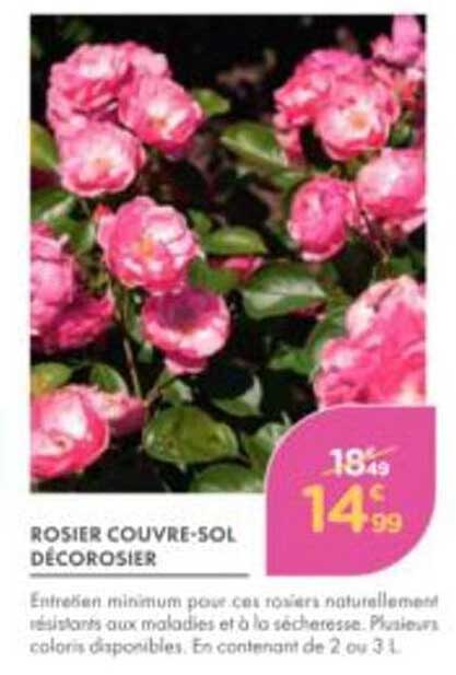 ROSIER COUVRE-SOL DÉCOROSIER