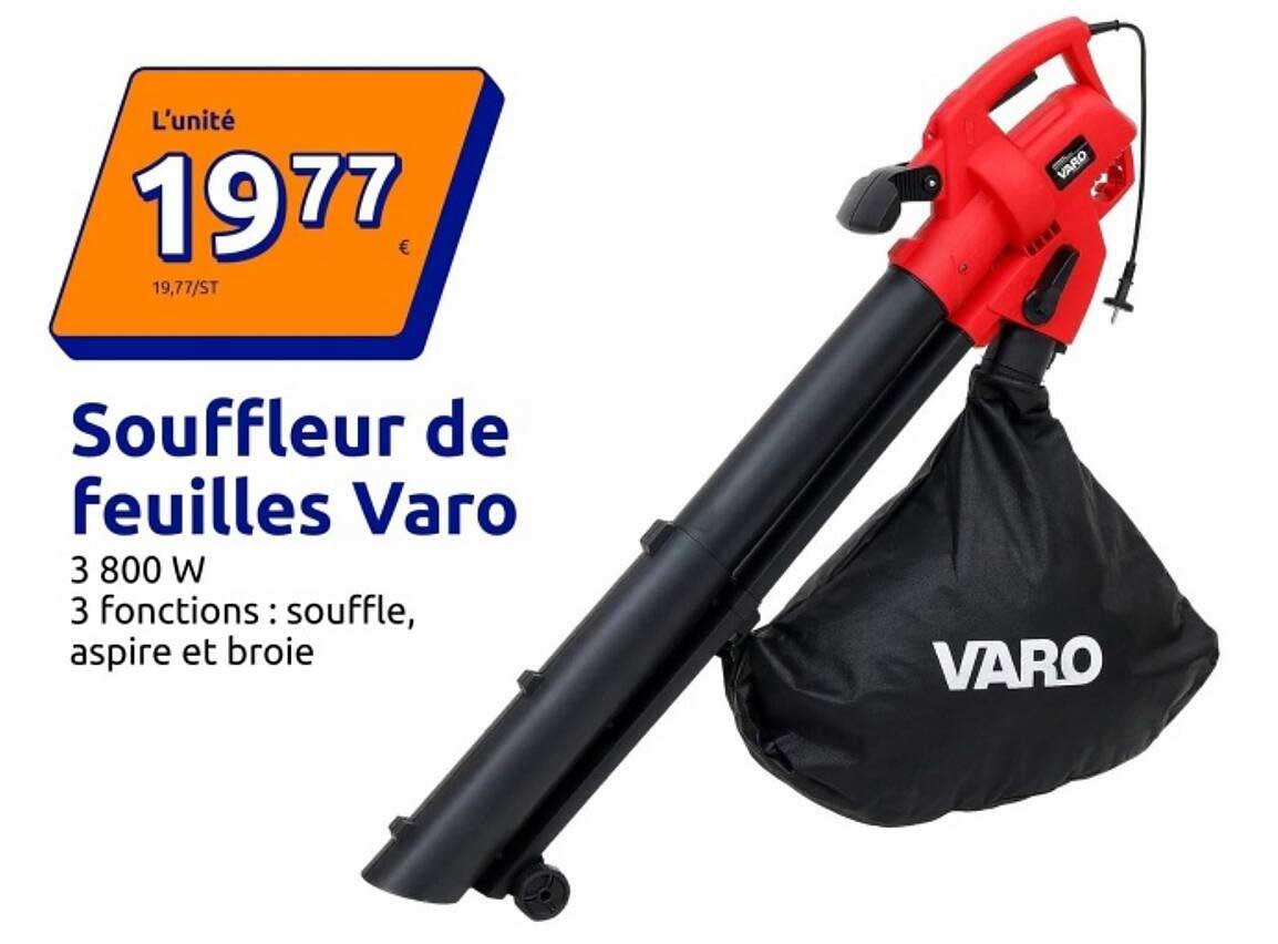 Souffleur de feuilles Varo