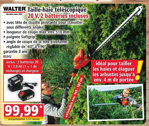 Taille-haie télescopique 20 V, 2 batteries incluses