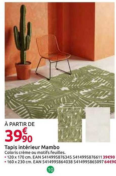 Tapis intérieur Mambo