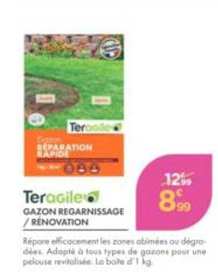 Teragile GAZON REGARNISSAGE / RÉNOVATION