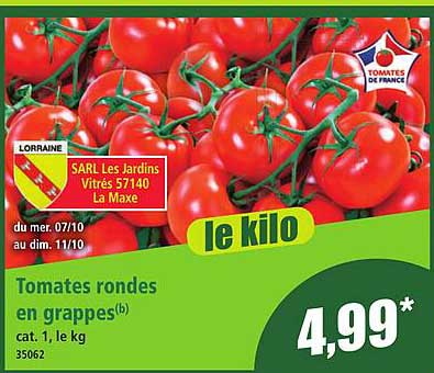 Tomates rondes en grappes(b)