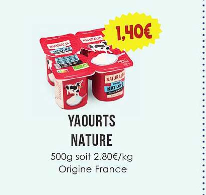 YAOURTS NATURE