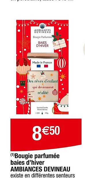Bougie parfumée baies d’hiver AMBIANCES DEVINEAU