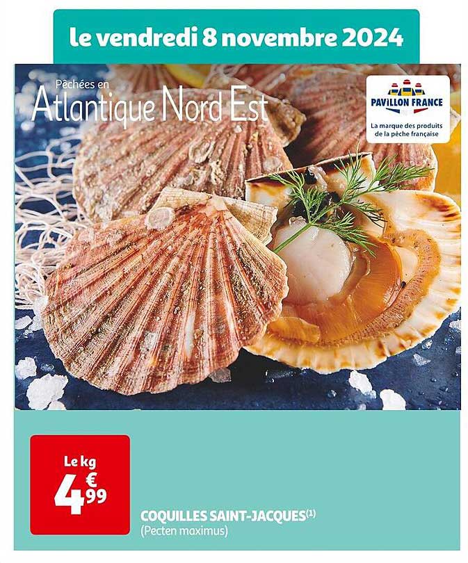 Sitemapcdatahttpshowtokedriinfocoquille Saint Jacques Auchan