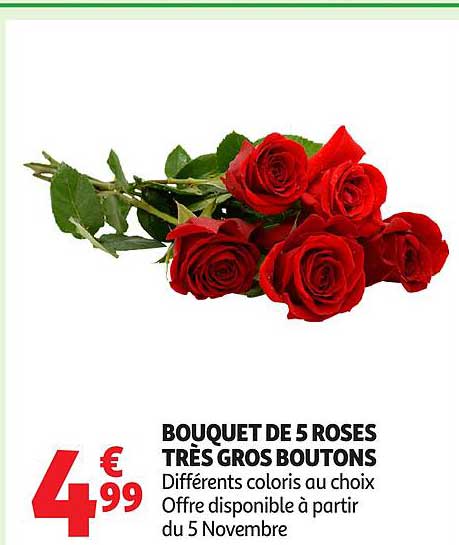 BOUQUET DE 5 ROSES TRÈS GROS BOUTONS