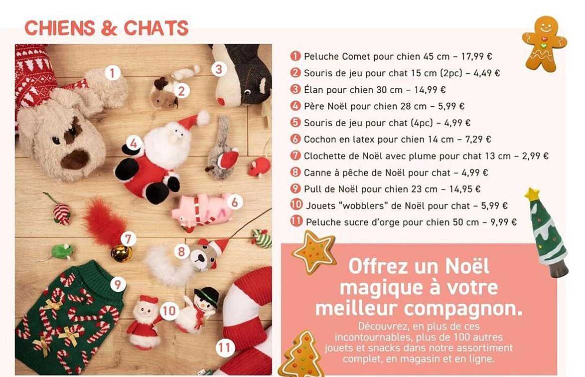 Offrez un Noël magique à votre meilleur compagnon.