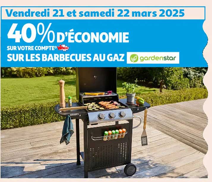 40% D'ÉCONOMIE SUR LES BARBECUES AU GAZ