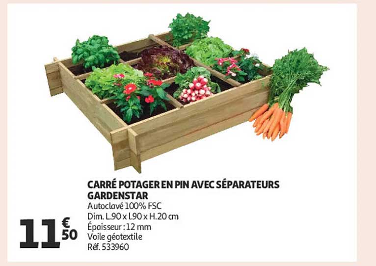 CARRÉ POTAGER EN PIN AVEC SÉPARATEURS GARDENSTAR