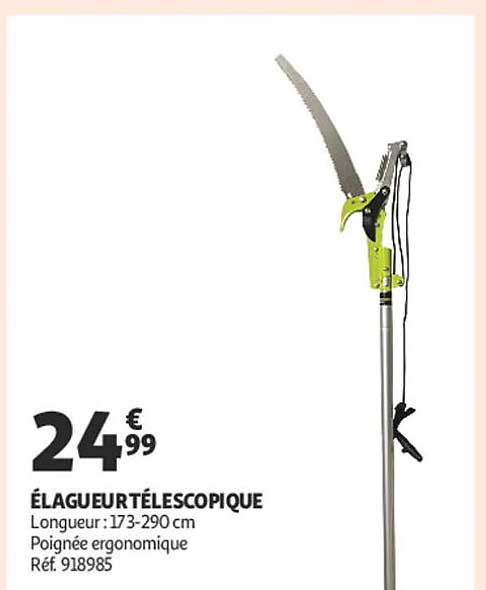 ÉLAGUEUR TÉLESCOPIQUE