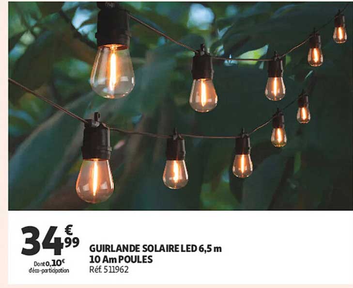 GUIRLANDE SOLAIRE LED 6,5 m 10 Am POULES