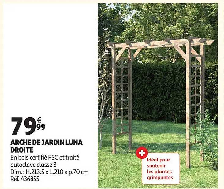ARCHE DE JARDIN LUNA DROITE
