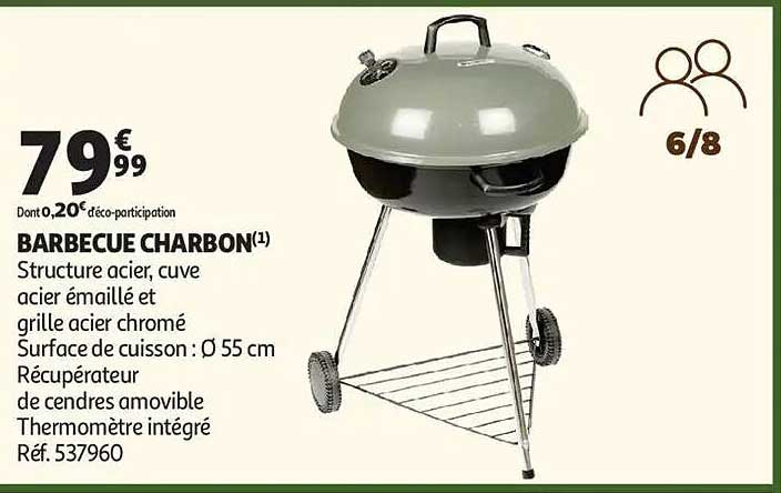 BARBECUE CHARBON(1)