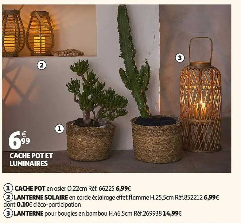 CACHE POT ET LUMINAIRES