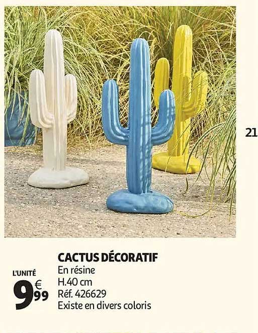 CACTUS DÉCORATIF