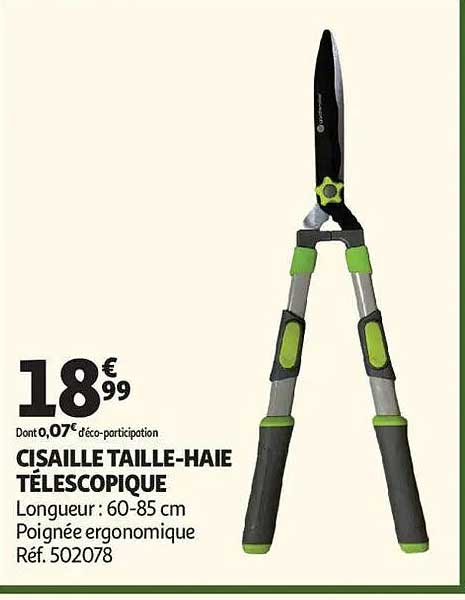 CISAILLE TAILLE-HAIE TÉLESCOPIQUE