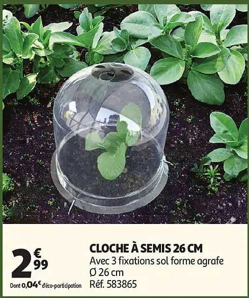 CLOCHE À SEMIS 26 CM