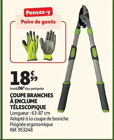 COUPE BRANCHES À ENCLUME TÉLESCOPIQUE