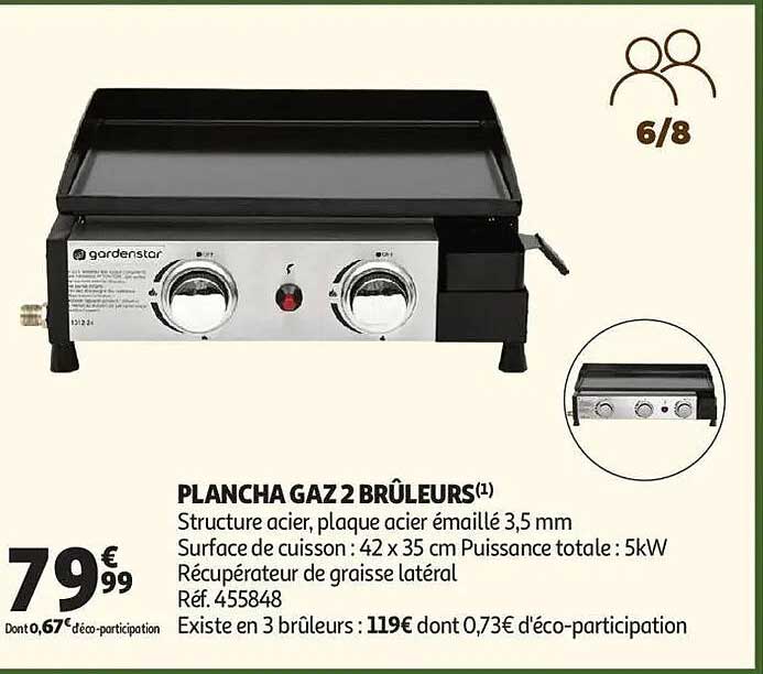 PLANCHA GAZ 2 BRÛLEURS(1)