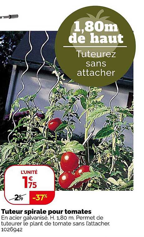 Tuteur spirale pour tomates