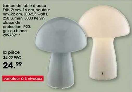 Promo Lampe De Table À Accu Vannie I, Métal, 1X Led-3 Watts, 200 Lumen ...